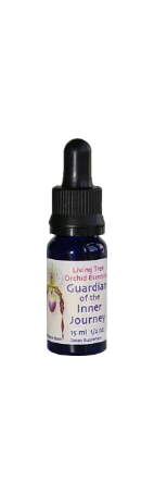 Guardian of the Inner Journey essens (15 ml)