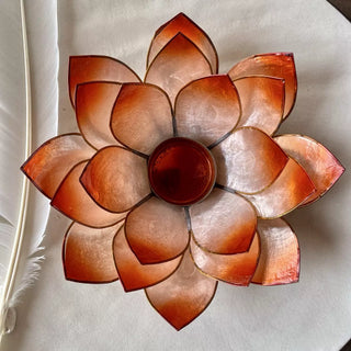 Lotuslys Stor Oransje