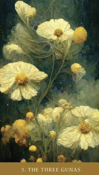 Path of Light Oracle