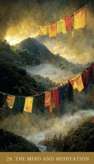 Path of Light Oracle