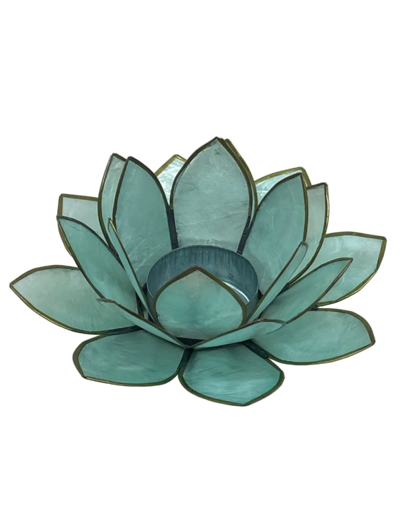 Lotuslys turkis medium