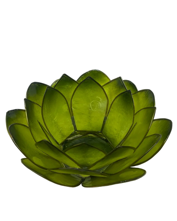 Lotuslys grønn rund
