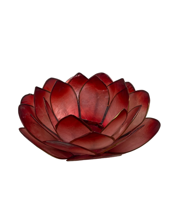 Lotuslys rød rund