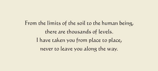 RUMI – JEWELS OF WISDOM, HEALING AND GUIDANCE