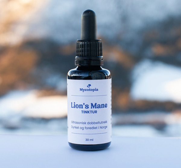 Mycotopa Lion's Mane tinktur 30 ml