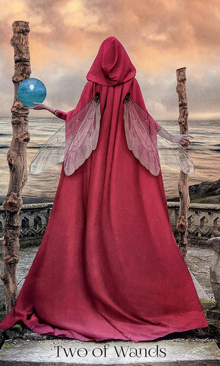 When Women Had Wings Tarot